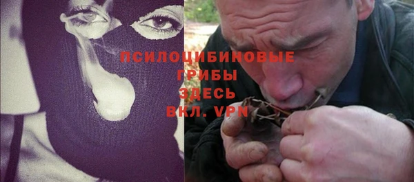 прущие грибы Осинники