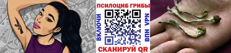 Галлюциногенные грибы мухоморы mega ссылки Костерёво